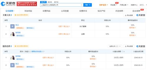 数字文化创意内容应用服务的崛起与未来发展