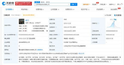 数字文化创意内容应用服务 赋能未来生活的创新引擎